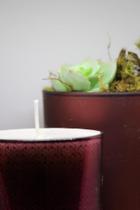Arranjo decorativo - Lumen Coppa