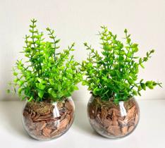 Arranjo Duplo Mini Eucalipto em Vaso Aquário com Cascalhos. Arranjo Duplo Mini Eucalipto em Vaso Aquário com Cascalhos.