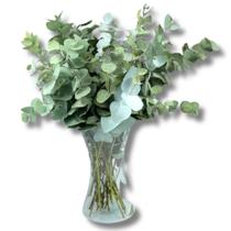Arranjo Floral Eucalipto Desidratado Com Vaso Vidro Julieta Arranjo Floral Eucalipto Desidratado Com Vaso Vidro Julieta