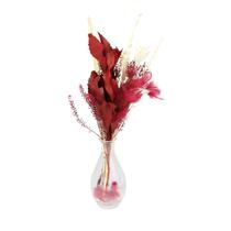 Arranjo Floral Seco no Vaso de Vidro Decorativo - Transparente Liso Arranjo Floral Seco no Vaso de Vidro Decorativo - Transparente Liso