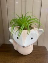 Arranjo Floral vaso raposa