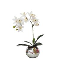 Arranjo Flores de Orquídeas no Vaso Espelhado Prata beto - La Caza Store