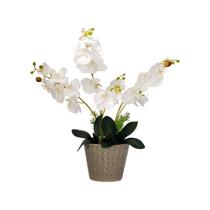 Arranjo Flores Orquídeas Branca Artificial Vaso7793256932180 - La Caza Store