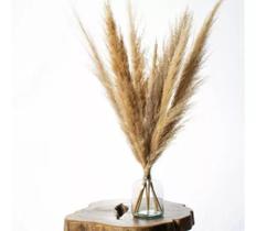 Arranjo Garrafa De Vidro 7capim De Pampas Decoração Interior