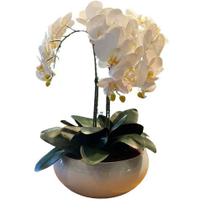 Arranjo Grande Centro de Mesa 3 Orquídeas Branca 3d Vaso Branco