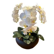Arranjo Grande Centro de Mesa 3 Orquídeas Branca 3d Vaso Preto - Decore Fácil Shop