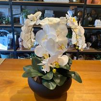Arranjo Grande Centro de Mesa 3 Orquídeas Branca 3d Vaso Preto