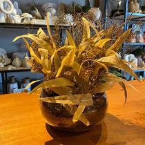 Arranjo Grande Centro de Mesa Flores Secas Artificial Vaso Incolor