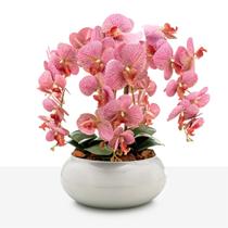 Arranjo Grande Centro Mesa 8 Cadeiras Orquídea Artificial Vaso Branco Arranjo Grande Centro Mesa 8 Cadeiras Orquídea Artificial Vaso Branco