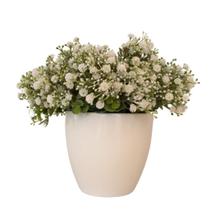 Arranjo Gypsophila