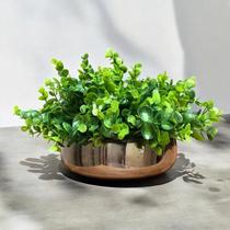 Arranjo Jardim de Eucalipto Artificial em Vaso Ambar Arranjo Jardim de Eucalipto Artificial em Vaso Ambar
