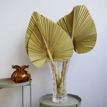 Arranjo Latânia Natural Desidratada no Vaso de Vidro Formosinha Arranjo Latânia Natural Desidratada no Vaso de Vidro Formosinha