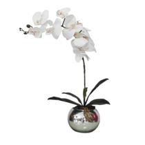 Arranjo Luxo de flores Orquídea realista e vaso prata Igor