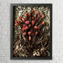 Arranjo no Quadro Flores Secas Arapuama 30x42 Arranjo no Quadro Flores Secas Arapuama 30x42
