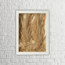 Arranjo no Quadro Flores Secas Pluminha + Pampas 21x30 Arranjo no Quadro Flores Secas Pluminha + Pampas 21x30