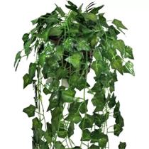 Arranjo no vaso planta folhagem videiras heras verde 90cm