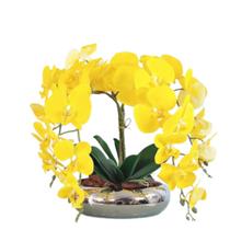 Arranjo No Vaso Prata Cascata de 4 Flores Orquídeas Amarelas Arranjo No Vaso Prata Cascata de 4 Flores Orquídeas Amarelas