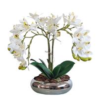 Arranjo No Vaso Prata Cascata de 4 Flores Orquídeas Brancas Arranjo No Vaso Prata Cascata de 4 Flores Orquídeas Brancas