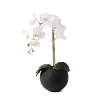 Arranjo Orquídea Artificial Silicone 3D Super Realista com Vaso