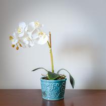 Arranjo Orquídea Branca - Divina Mãe Decorações