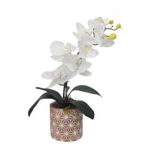 Arranjo Orquídea Branca Permanente + Vaso 12x12cm