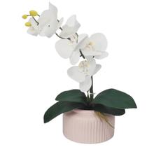 Arranjo Orquídea Branca Permanente Vaso Cerâmica 20x50cm