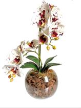 Arranjo Orquídea Silicone Toque Real Vaso de Vidro - ZENT FUTURE ARTIFICIAIS