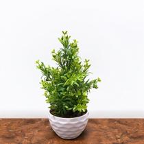 Arranjo Pequeno Artificiais Folhagem C Decoração Folha Com Vaso