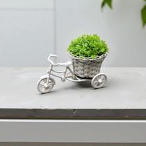 Arranjo Pequeno Delicado Buchinho Flores Verde Vaso Bicicleta Folha Folhagem