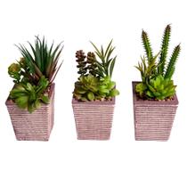 Arranjo Permanente Planta Artificial Suculenta Plástico Vaso Compacto Kit 3pcs Vizapi Aloe 8x17cm