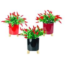 Arranjo Pimenta Decorativa C Vaso Cachepot