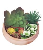 Arranjo Terrário Flores Suculentas Artificial 8186