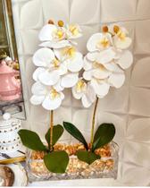 Arranjo vaso de cristal com 2 orquídeas brancas