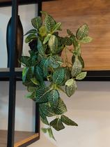 Arranjo vaso de fibra com 2 plantas fitonia artificial 65cm Arranjo vaso de fibra com 2 plantas fitonia artificial 65cm