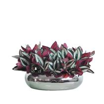 Arranjo Vaso Prateado Centro de Mesa Flores Lambari Arranjo Vaso Prateado Centro de Mesa Flores Lambari