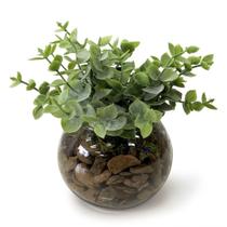 Arranjo Verdinho Vidro Decoração Artificial Mesa Charmosa Elegante Moderno Compacto Escritorio Casa Arranjo Verdinho Vidro Decoração Artificial Mesa Charmosa Elegante Moderno Compacto Escritorio Casa