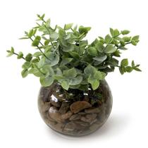 Arranjo Verdinho Vidro Decoração Artificial Mesa Charmosa Elegante Moderno Compacto Escritorio Casa Arranjo Verdinho Vidro Decoração Artificial Mesa Charmosa Elegante Moderno Compacto Escritorio Casa