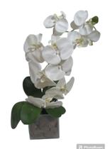 Arranjos de orquídeas cor