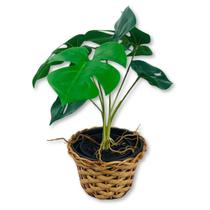 Arranjos De Planta Artificiais + Vaso Montado Folhagens Enfeites Casa Decoração