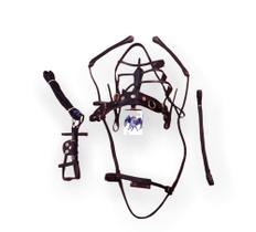 arreio de charrete Celotinho e tapa olho de trolle mini Pônei