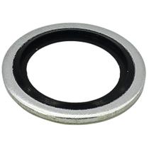 Arruela 1/2 Vedação do Filtro para Lavadora de Piso IPC CT40 CT55 CT70 CT80 CT90 CT100 VTRS00567