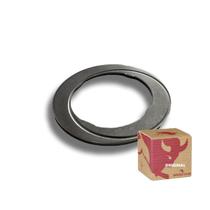 Arruela Encosto Planetaria MD168