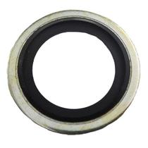 Arruela vedacao bujao carter motor cummins isb - cummins 2s0103196a Arruela vedacao bujao carter motor cummins isb - cummins 2s0103196a