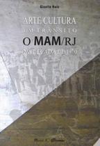Arte/cultura em trânsito: o mam/rj na década de 1970