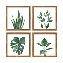 Arte de decoração de parede de Hannah Framed Botanical 20x20cm Walnut Frame