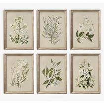 Arte de parede Baccone Vintage Botanical Aquarela Impressões 20x25cm