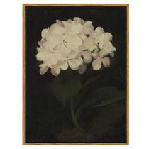 Arte de parede em Simsea White Hydrangea Pintura a óleo 30x41 cm