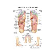 Arte De Parede Escandinava, Pôster De Anatomia Dos Pontos De Reflexologia E Acupuntura, Decoração
