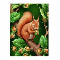 Artesanato Pintura Com Diamante Diy 20x30 - ESQUILO