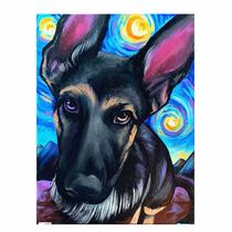Artesanato Pintura Com Diamante Diy 20x30 - PASTOR TX218